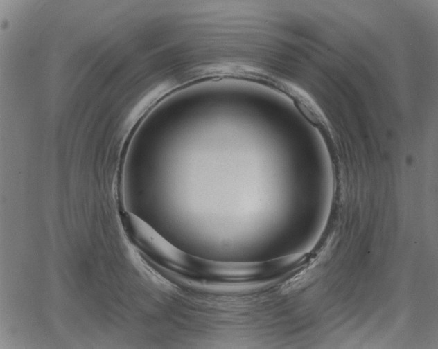 X0000062910946200601181216