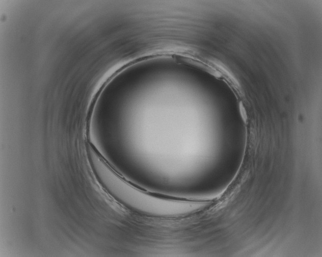 X0000062910948200601181216