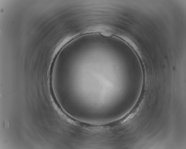 X0000062910949200601181216