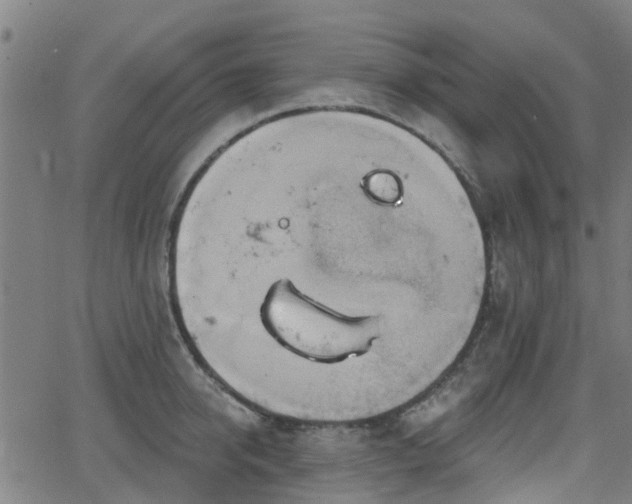 X0000062910950200601181216