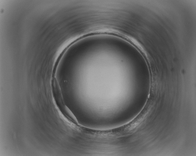 X0000062910951200601181216