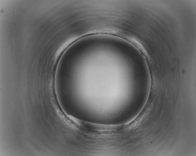 X0000062910952200601181216