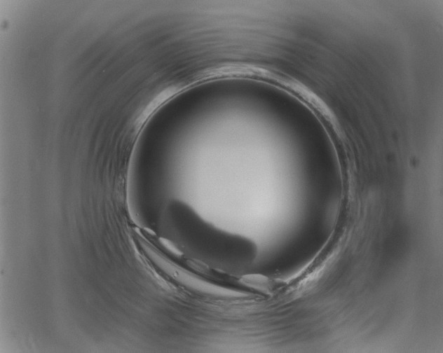 X0000062910953200601181216