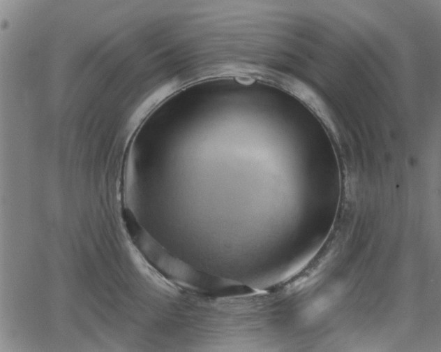 X0000062910954200601181216