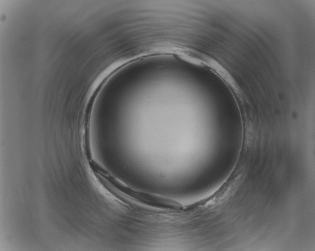 X0000062910955200601181216