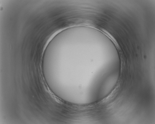 X0000062910956200601181216