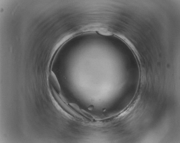 X0000062910957200601181216