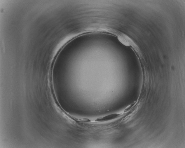 X0000062910958200601181216