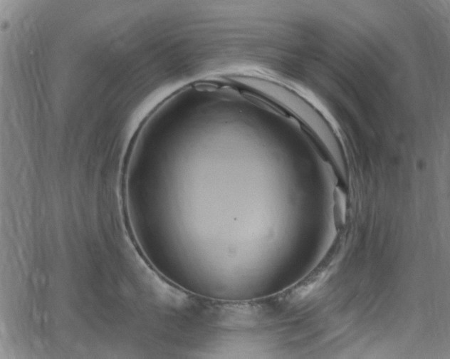 X0000062910959200601181216