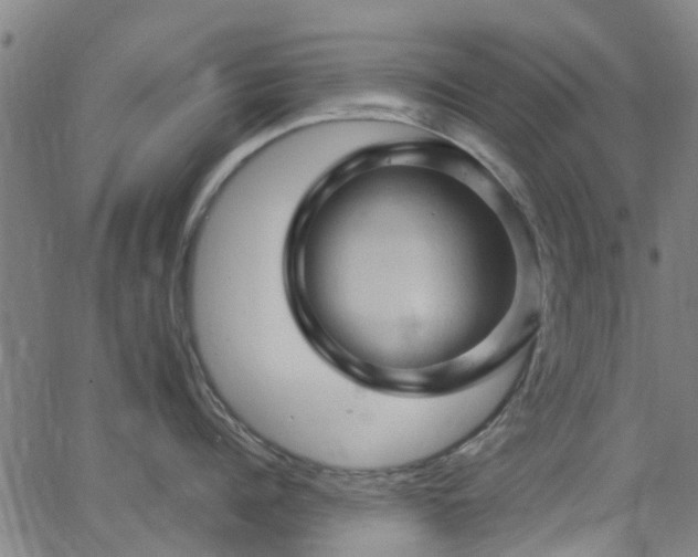 X0000062910960200601181216