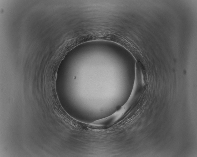 X0000062910961200601181215