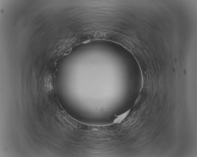 X0000062910962200601181215