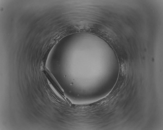 X0000062910963200601181215