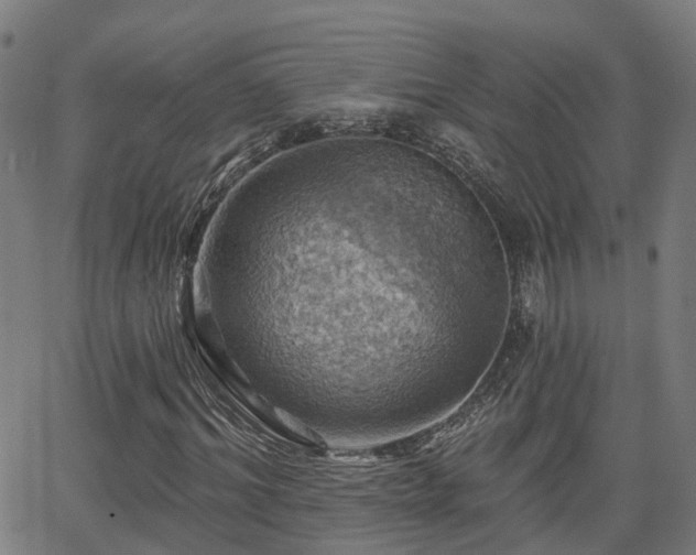 X0000062910964200601181215