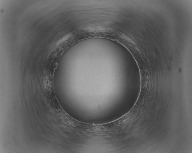 X0000062910966200601181215