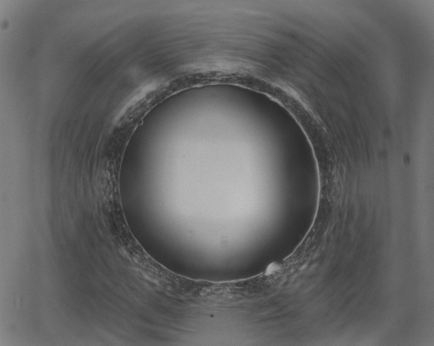 X0000062910967200601181215