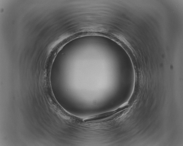 X0000062910971200601181215