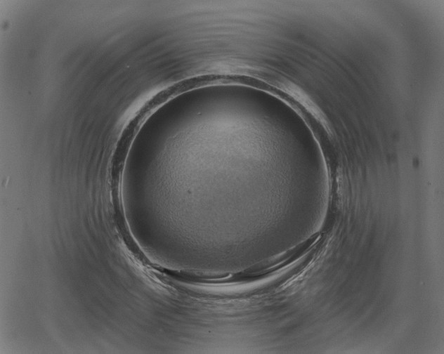 X0000062910972200601181215