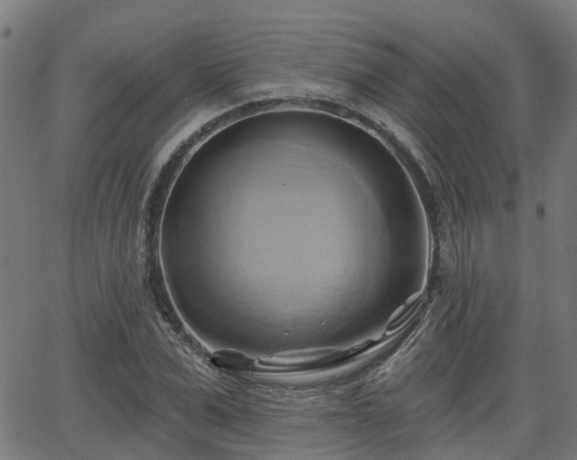 X0000062910975200601181215