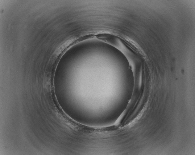 X0000062910977200601181215