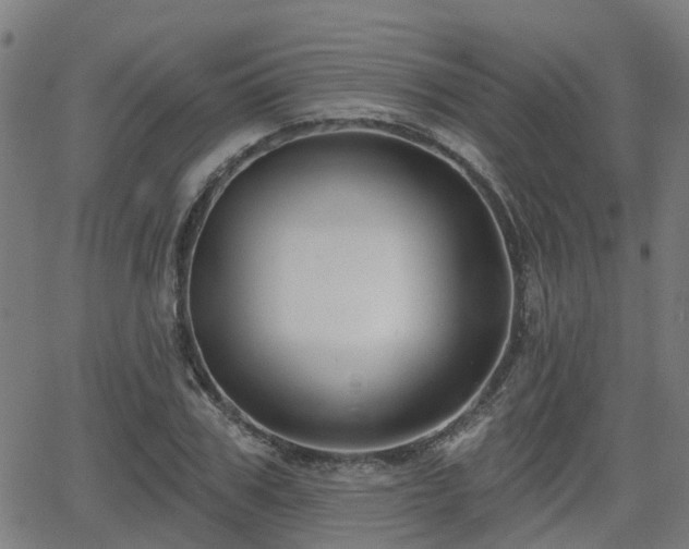 X0000062910979200601181215