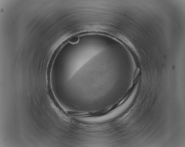 X0000062910980200601181215