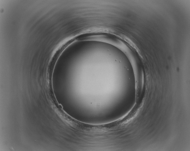 X0000062910981200601181215