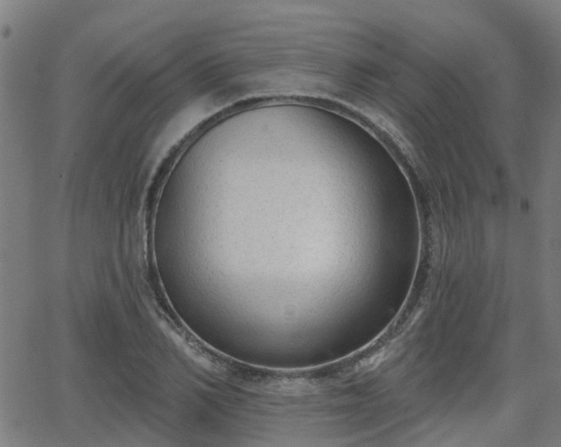 X0000062910982200601181215