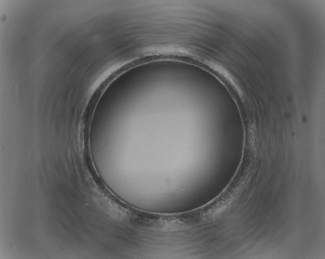 X0000062910983200601181215