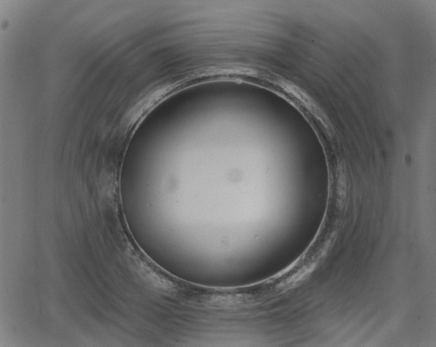 X0000062910985200601181215