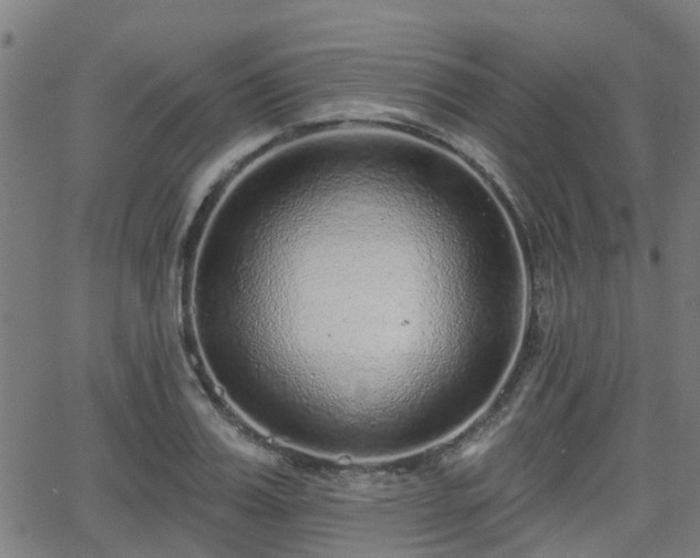 X0000062910987200601181215