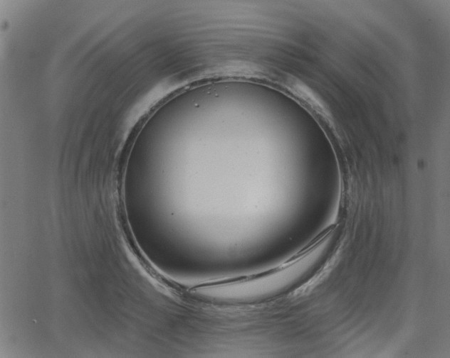 X0000062910989200601181215