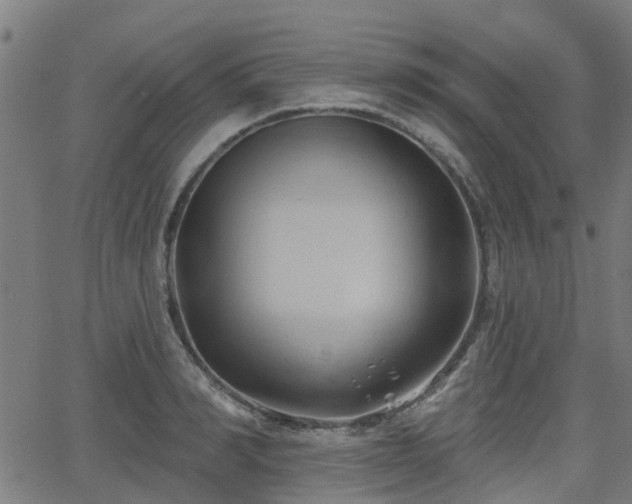 X0000062910990200601181215