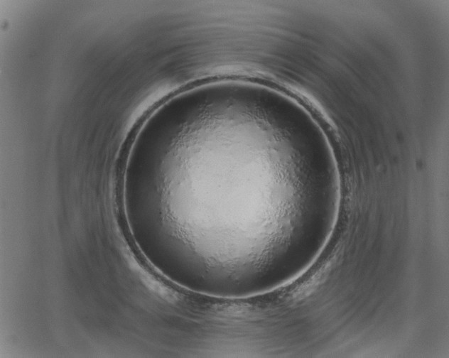 X0000062910991200601181215