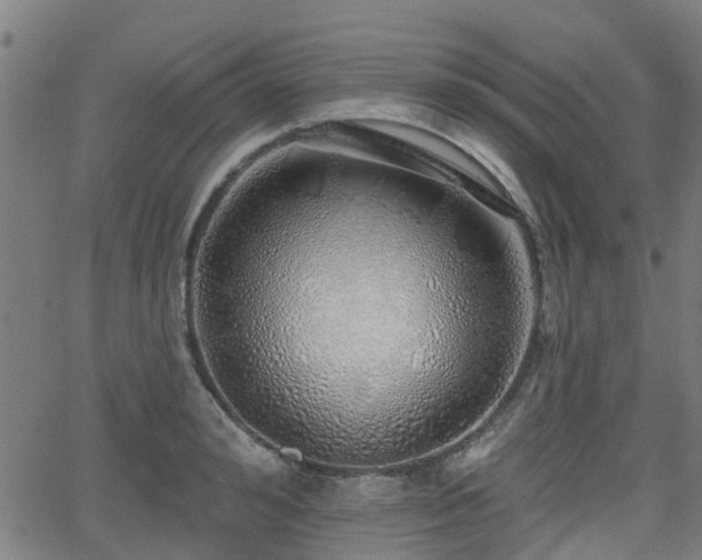 X0000062910992200601181215