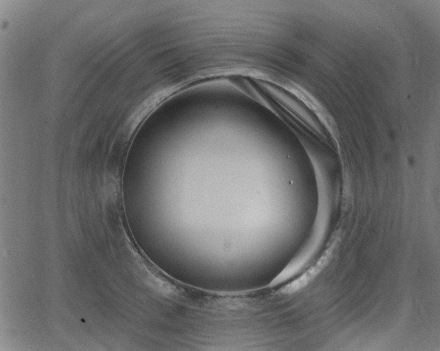 X0000062910993200601181215