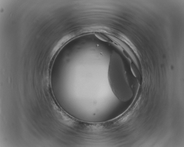 X0000062910994200601181215