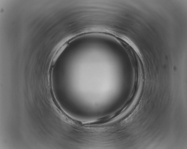 X0000062910996200601181215