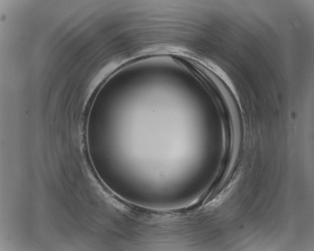 X0000062910997200601181215