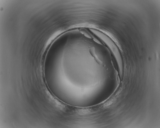 X0000062910998200601181215