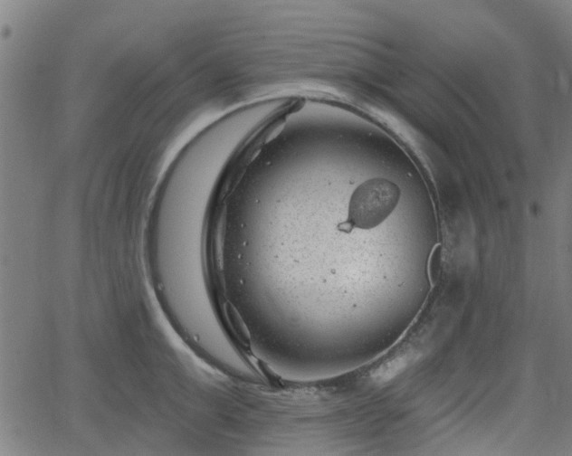 X0000062910999200601181215