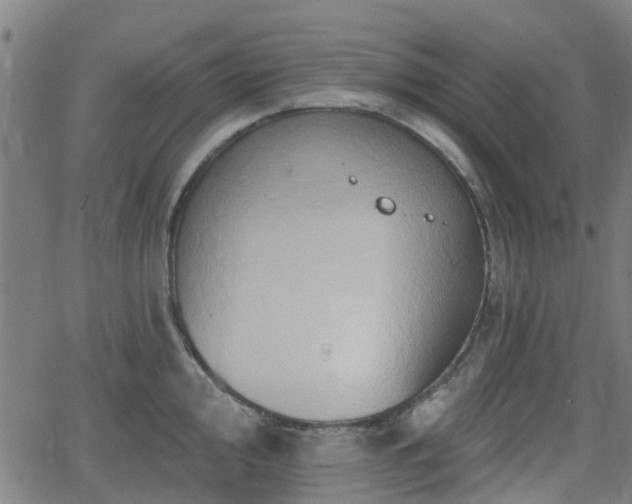 X0000062911000200601181215