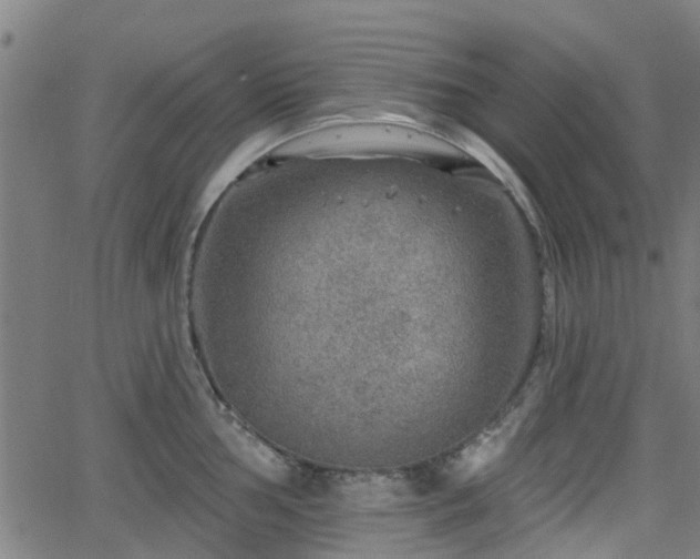 X0000062911002200601181215