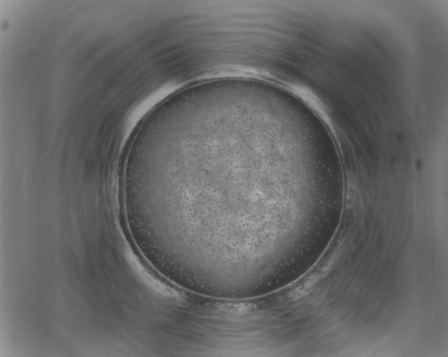 X0000062911003200601181214