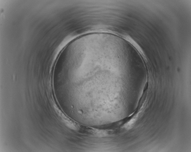 X0000062911004200601181214