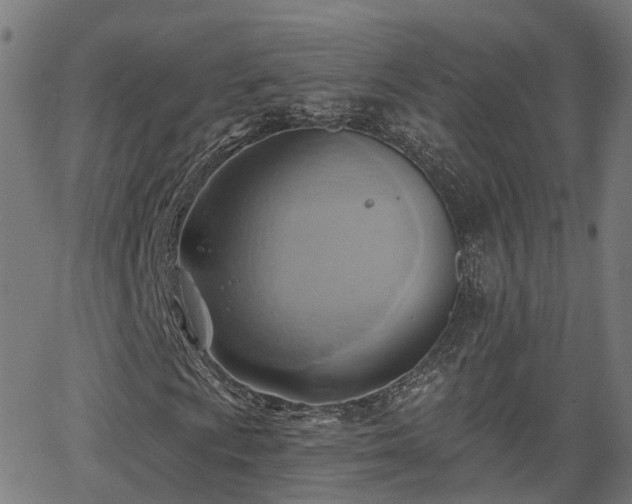 X0000062911009200601181214