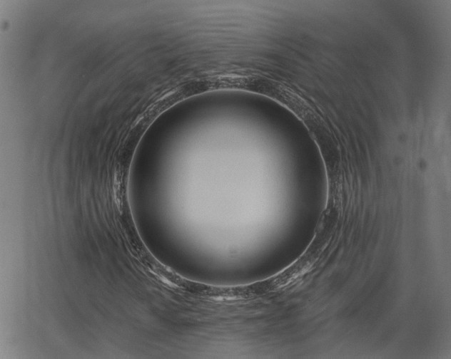 X0000062911010200601181214