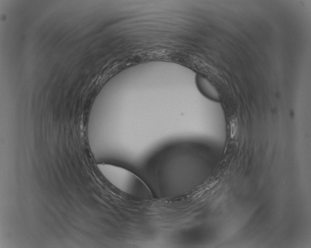 X0000062911011200601181214