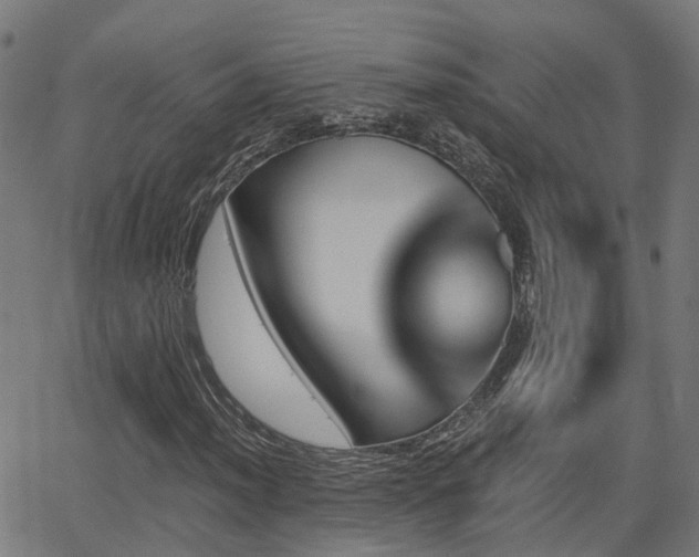 X0000062911012200601181214