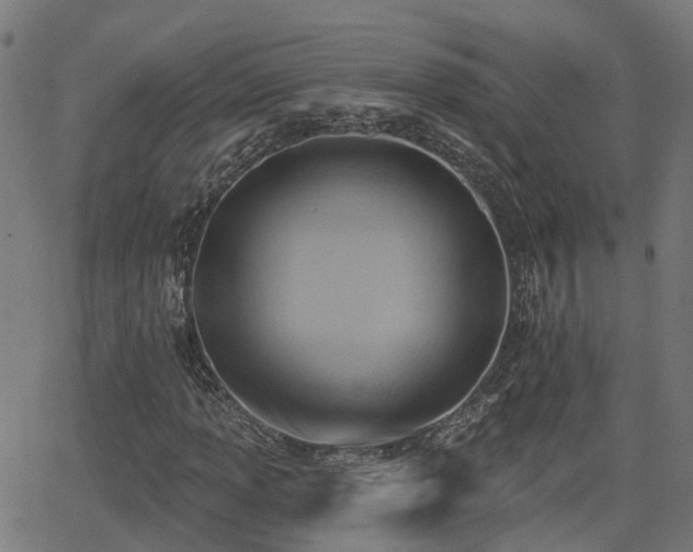 X0000062911013200601181214